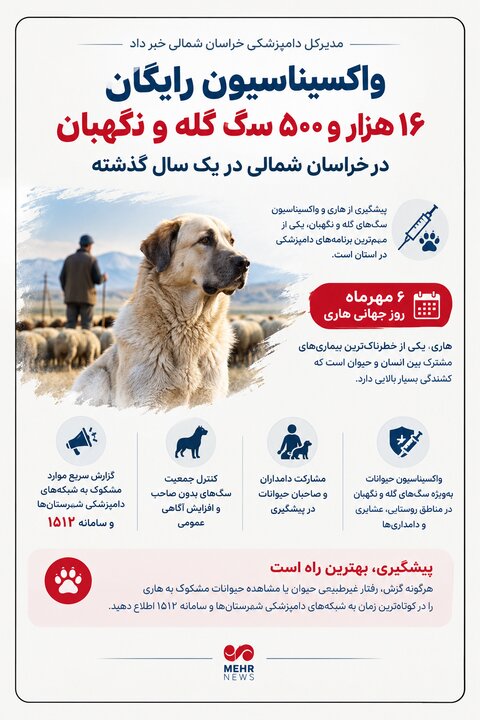 اینفوگرافیک؛ دامپزشکی خراسان شمالی ۱۶ هزار و ۵۰۰ سگ را واکسینه کرد