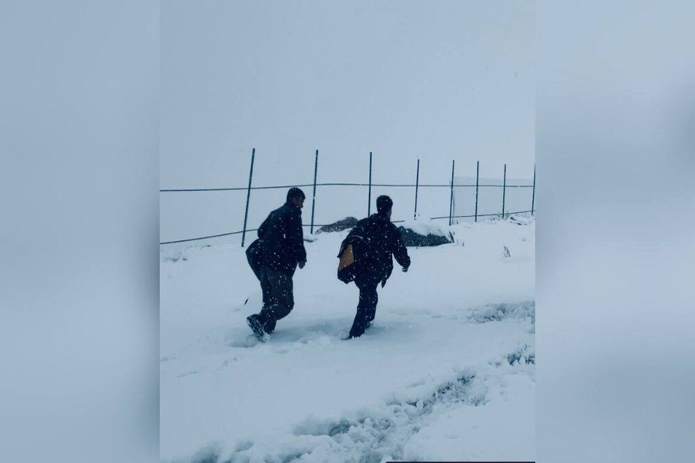 حضور «ژیلهمو» در جشنواره فیلم وِستلَند آمریکا حضور «ژیلهمو» در جشنواره فیلم وِستلَند آمریکا