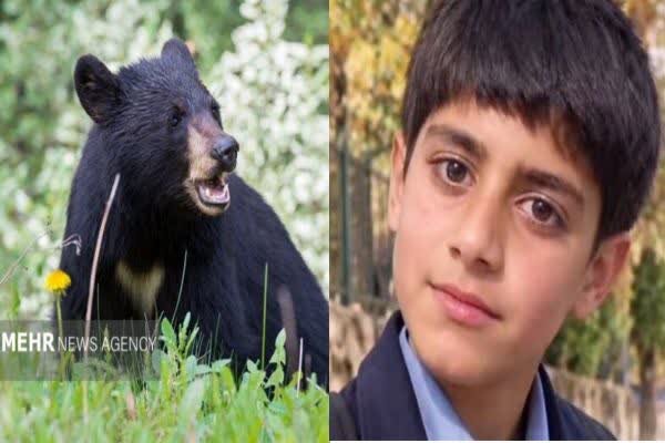 تعارض حیات وحش و انسان ها در جنوب کرمان؛ یک نوجوان توسط خرس کشته شد