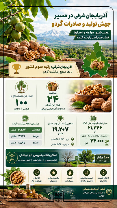 اینفوگرافیک؛ رتبه سوم سطح زیرکشت گردو آذربایجان‌شرقی در کشور