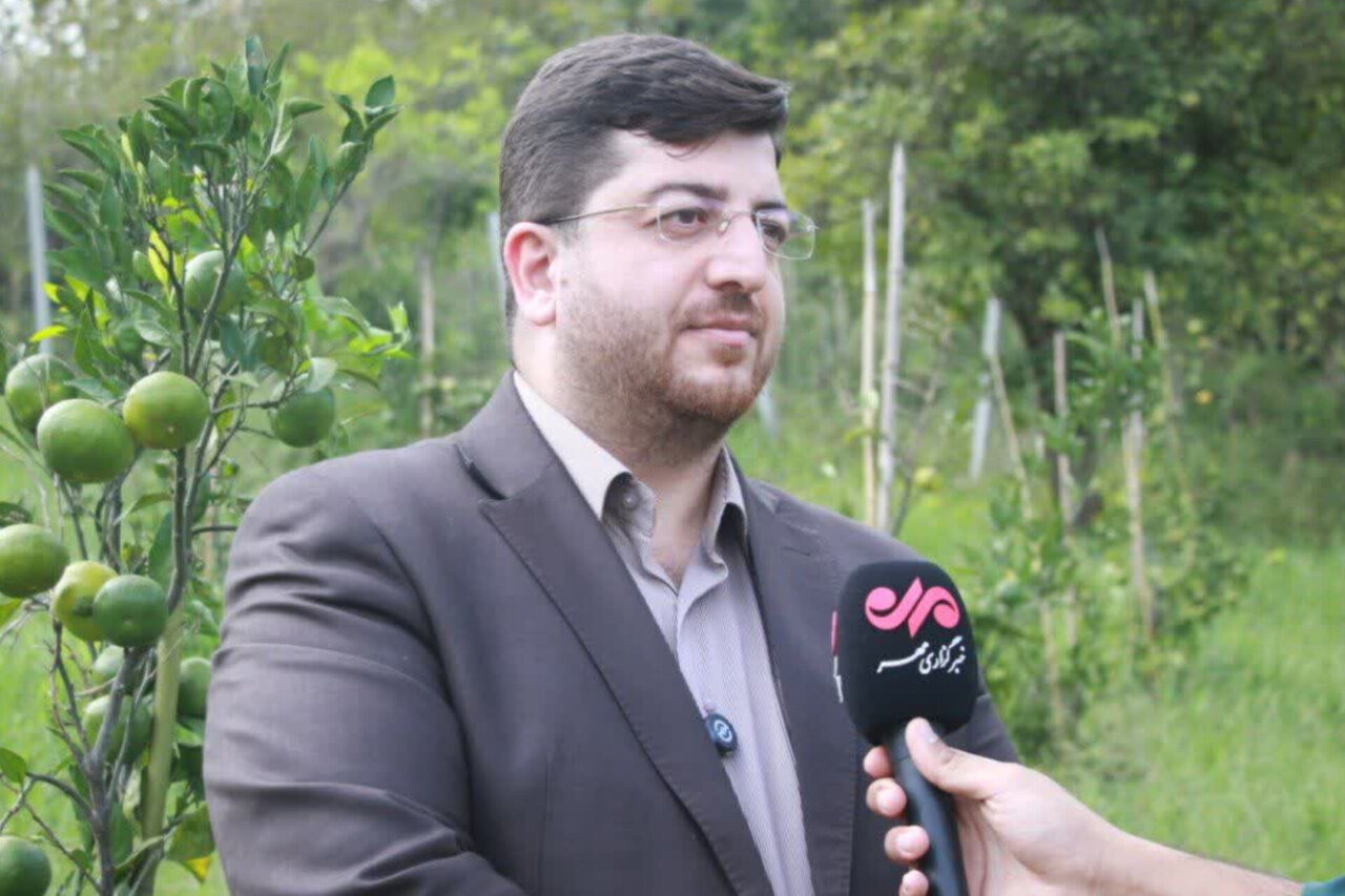 موقوفات لاهیجان در مسیر درآمدزایی پایدار؛ باغ مرکبات به بار نشست موقوفات لاهیجان در مسیر درآمدزایی پایدار؛ باغ مرکبات به بار نشست