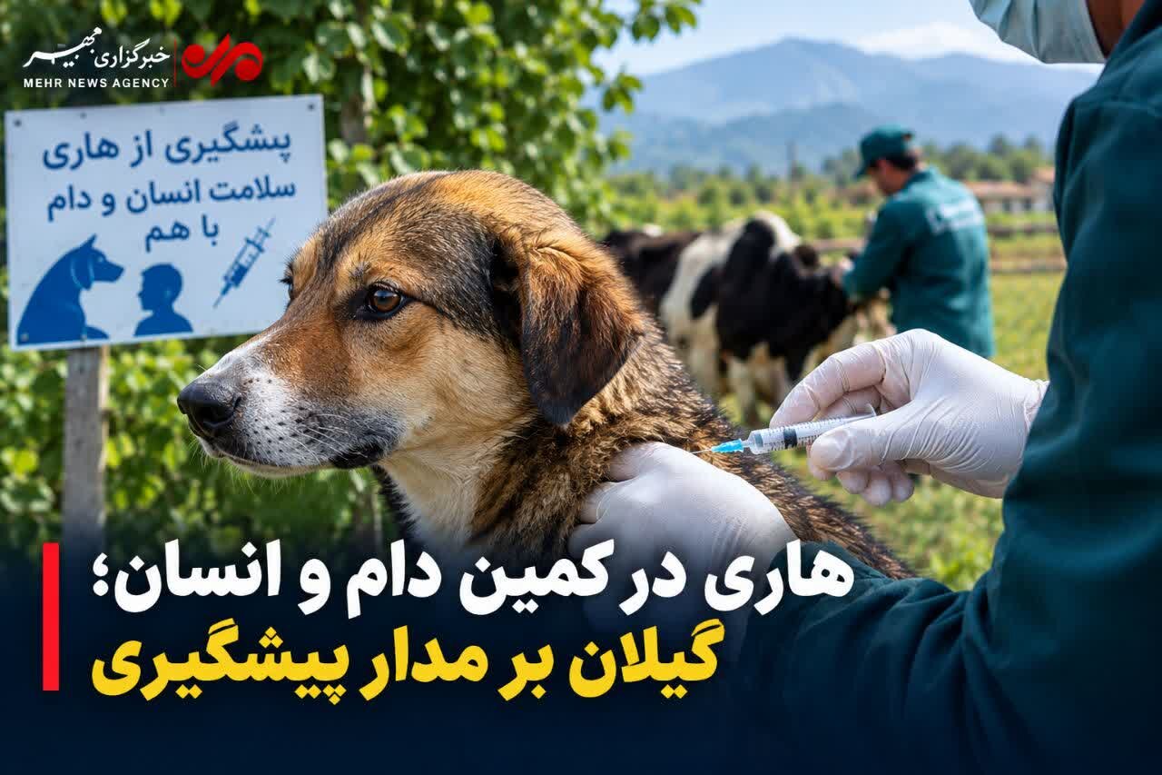 پویش ملی پیشگیری از هاری؛ از واکسیناسیون رایگان تا مراقبت در گیلان