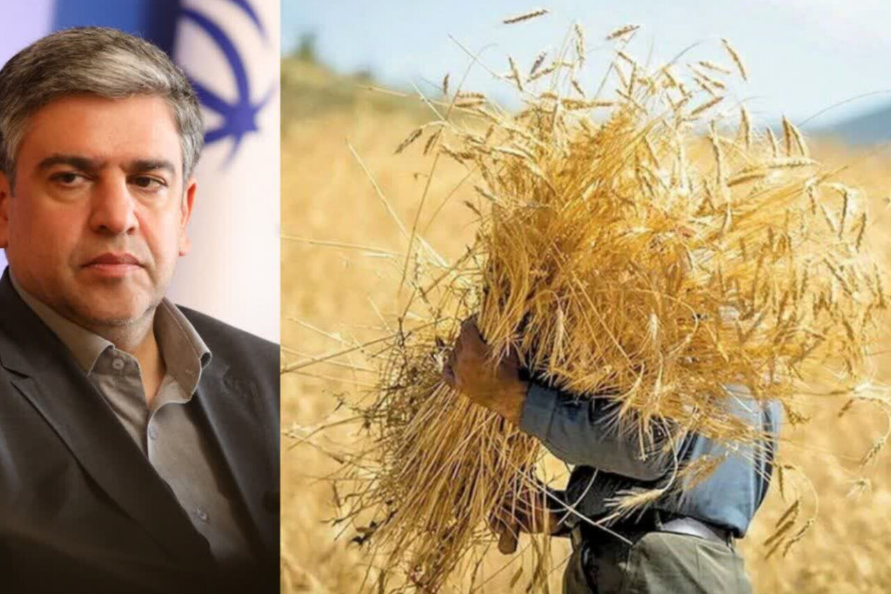 ۸۸درصد مطالبات گندمکاران استان پرداخت شد