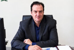 پیش بینی برداشت ۱۶۰ هزار تن سیب در مشگین‌شهر