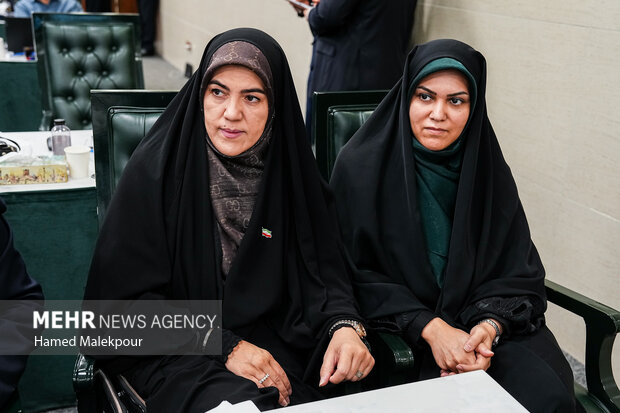 نشست علنی مجازی مجلس شورای اسلامی