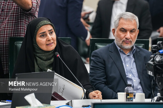 نشست علنی مجازی مجلس شورای اسلامی