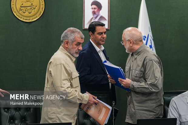 نشست علنی مجازی مجلس شورای اسلامی