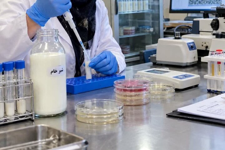 دامپزشکی بر کیفیت و سلامت شیر تولیدی در استان بوشهر نظارت مستمر دارد