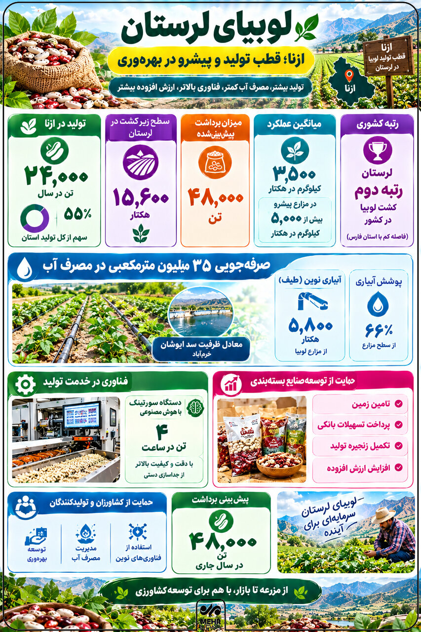 اینفوگرافیک؛ «لوبیای لرستان» با تولید ۴۸ هزار تن در مسیر بهرهوری