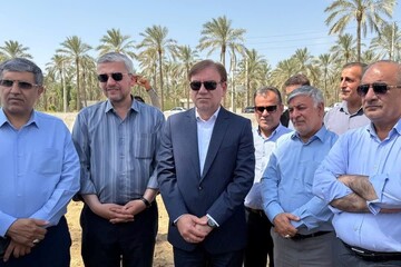 زارع: توسعه آبیاری نوین در نخیلات بوشهر از اولویت‌های استان است