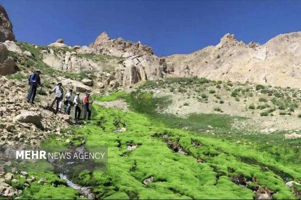 دنا در نقشهها گم شد؛خطای ناوبری،تهدیدی برای جان کوهنوردان وهویت زاگرس