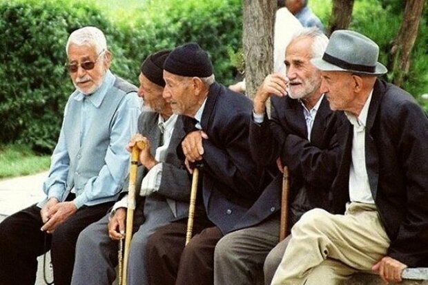 ۸.۵ درصد شهرستان دیّر سالمند هستند