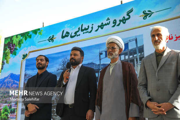 جشن شکرانه برداشت انگور در گهرو