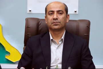 فرماندار دشتی: خبرنگاران در ترویج فرهنگ ایثار و شهادت نقش مهمی دارند