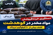 دستگیری ۳ خرده‌فروش مواد مخدر در کوهدشت