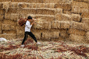 جاروبافی در روستای ملاحسن