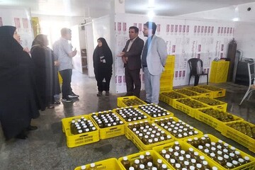 پرداخت ۱۵ میلیارد ریال تسهیلات به ۲ کارگاه روستایی بروجرد
