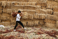 جاروبافی در روستای ملاحسن