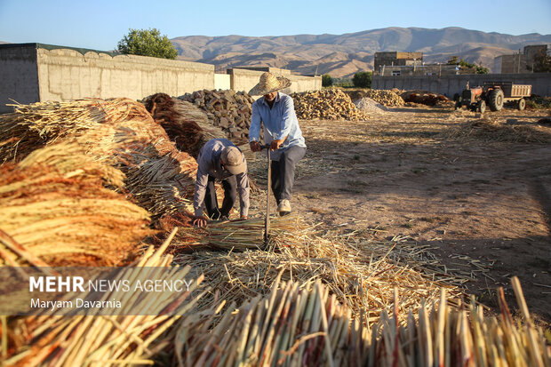 جاروبافی در روستای ملاحسن