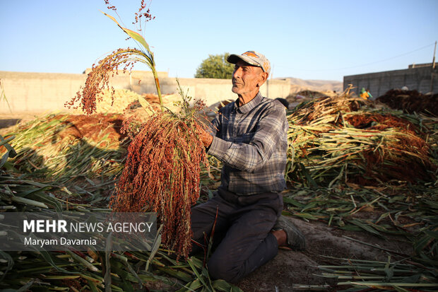 جاروبافی در روستای ملاحسن