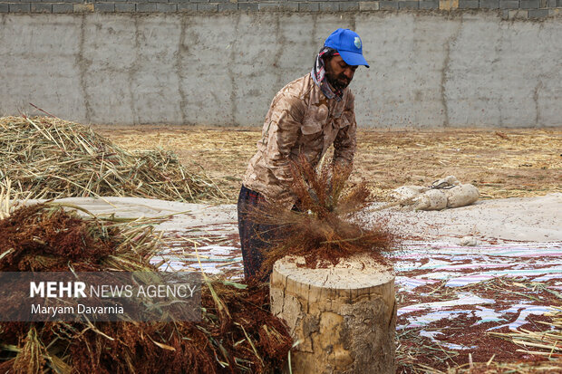 جاروبافی در روستای ملاحسن