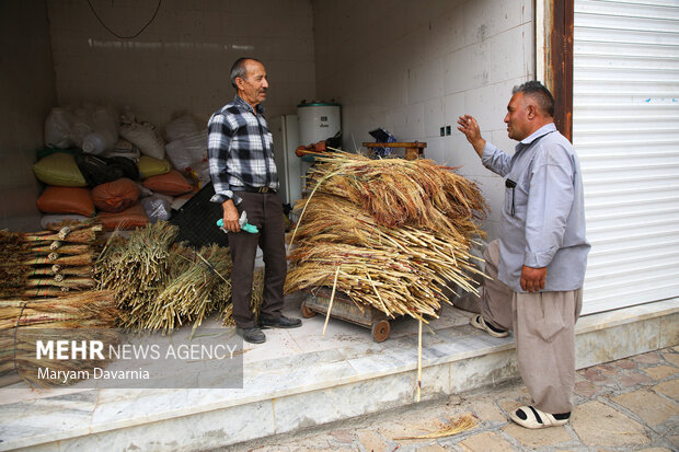 جاروبافی در روستای ملاحسن