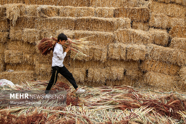 جاروبافی در روستای ملاحسن