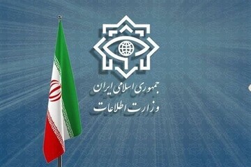 Iran Intel. Min. dismantles 4 sabotage networks, 31 arrested