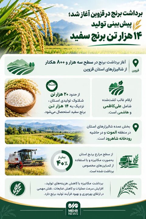 اینفوگرافیک؛ پیشبینی تولید ۱۴ هزار تن برنج سفید در قزوین