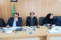 رشد ۲۷۰ درصدی پرونده‌های تخلف بازار در کهگیلویه و بویراحمد