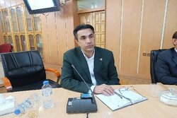 تغییر قیمت‌ها در بازار «ساعتی» شده است؛ ضرورت نظارت بر تولید