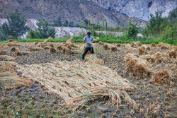 تحول در کشاورزی بدون مشارکت مردم امکان‌پذیر نیست