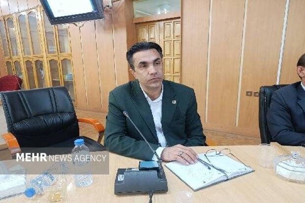 تغییر قیمت‌ها در بازار «ساعتی» شده است؛ ضرورت نظارت بر تولید