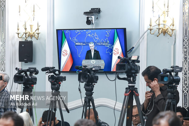 نشست خبری سخنگوی وزارت امورخارجه