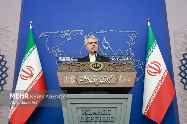 نشست خبری سخنگوی وزارت امورخارجه