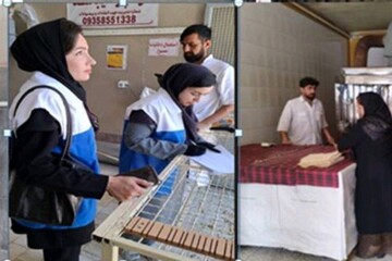نظارت بهداشتی بر ۲۸۲۵ نانوایی کردستان تشدید شد