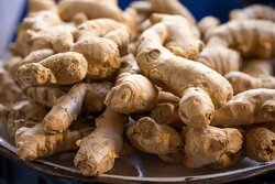 شرایط قرنطینه‌ای واردات زنجبیل تازه از برزیل و پرو اعلام شد