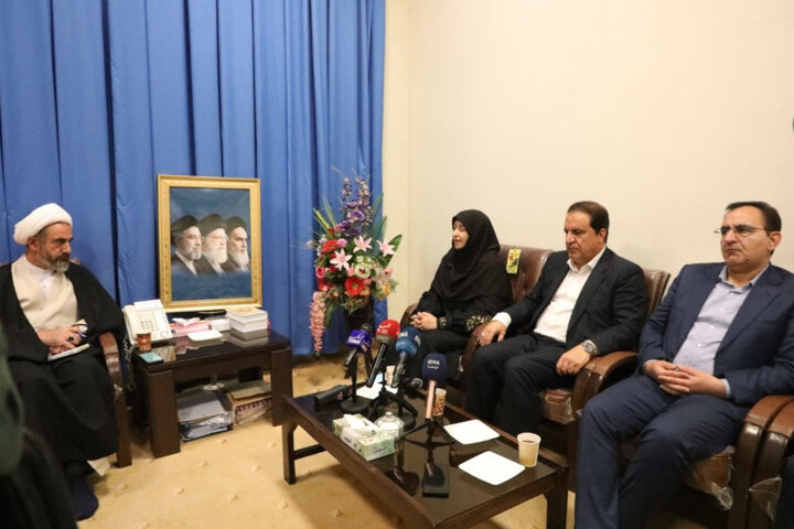 انصاری: ایلام می‌تواند پایلوت «گردشگری سبز» باشد