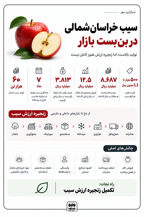 اینفوگرافیک؛ سیب خراسان‌شمالی؛ تولید هست، زنجیره نیست