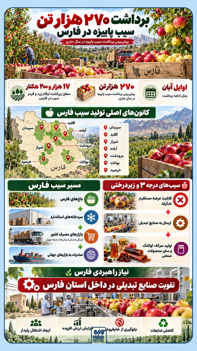 اینفوگرافیک؛ برداشت ۲۷۰ هزار تن سیب پاییزه در فارس