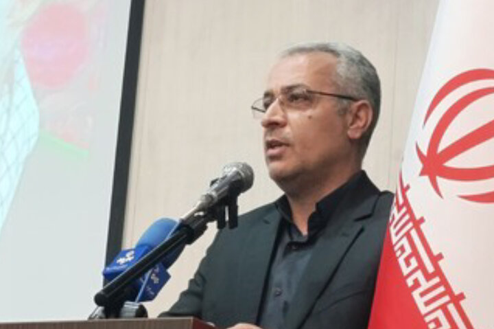 ۵۳ شهید هنرمند در گلستان شناسایی شدند