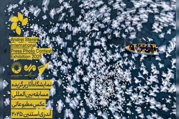 تقدیر مدیر اجرایی مسابقه «آندری استنین» از گروه رسانه‌ای مهر