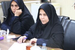 ۲۱۷ جانباز بالای ۷۰ درصد در شهرستان‌های استان تهران ساکن هستند