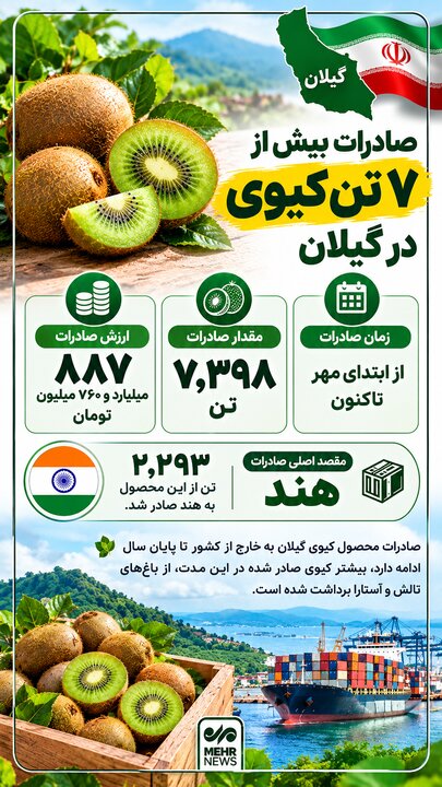 اینفوگرافیک؛ صادرات بیش از ۷ تُن کیوی در گیلان