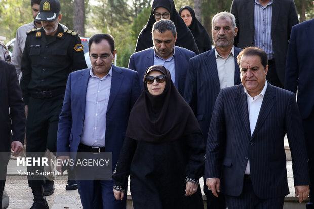 سفر رئیس سازمان محیط زیست به ایلام
