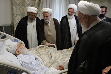رہبر انقلاب کے نمائندوں کی آیت‌ اللہ العظمیٰ نوری ہمدانی کی عیادت