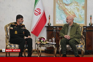 گفت‌وگوی قالیباف و رادان درباره مسائل انتظامی کشور