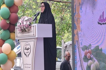 جشنواره گردو فرصتی برای پیوند کشاورزی، گردشگری و میراث طبیعی است