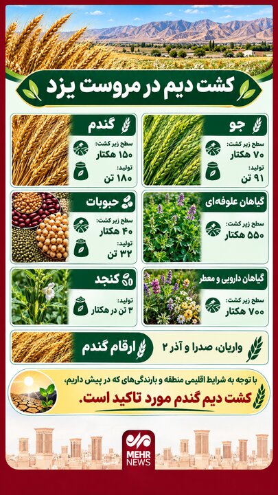 اینفوگرافیک؛ کشت دیم محصولات زارعی در شهرستان مروست