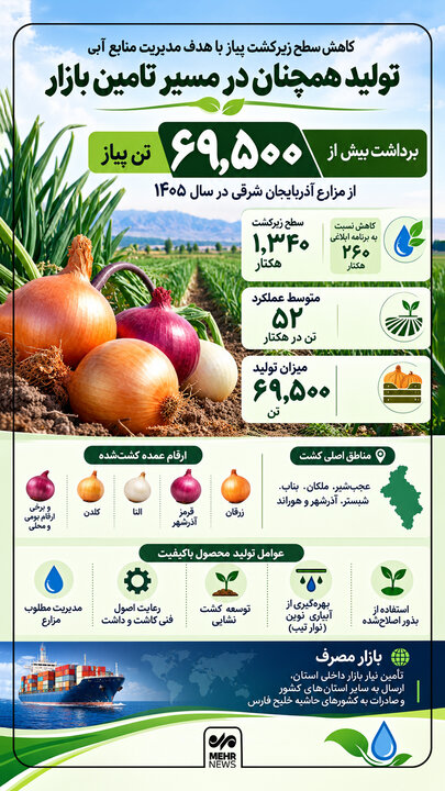 اینفوگرافیک؛ تولید ۶۹ هزار و ۵۰۰ تن پیاز در آذربایجان شرقی